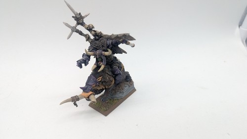 Warhammer fantasy wgs - warhammer, painted