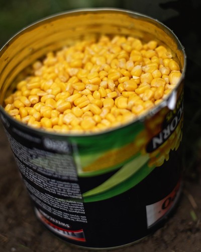 Korda tinned sweetcorn 15kg - sweetcorn, 2.15kg
