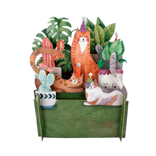 Fun cat party birthday - cat,
