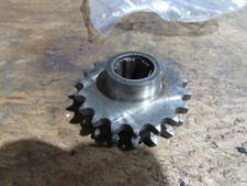 TRIUMPH TIGER CUB T20 PRIMARY