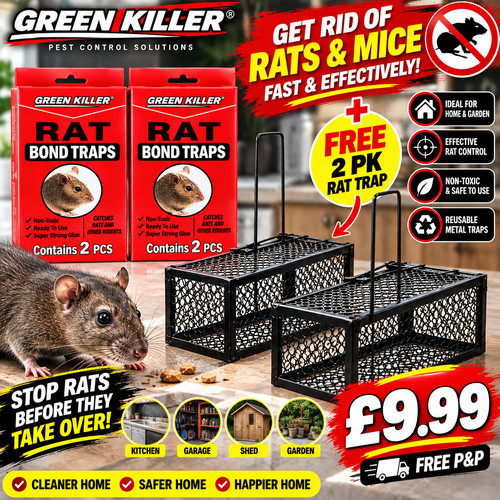 Rat trap mouse - trap, catcher