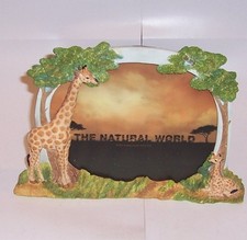 Country Artists Giraffe Photo