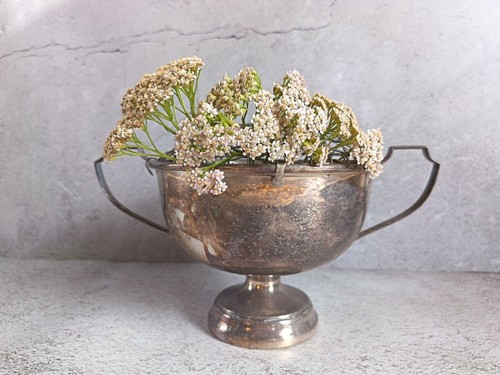 Vintage large twin handled - vintage,