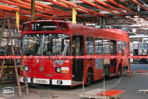 Bus photo london - bus,