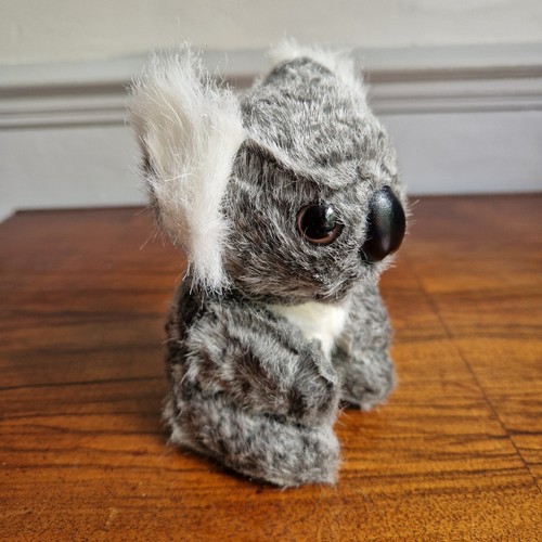 Cute small kuala - small, bear
