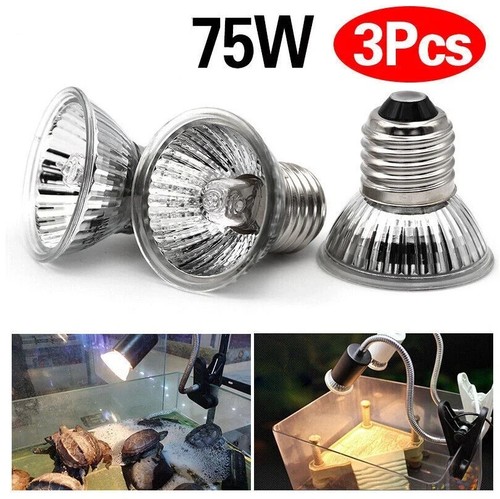 3pcs reptile heat lamp - reptile,