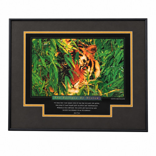 The essence vision - vision, tiger