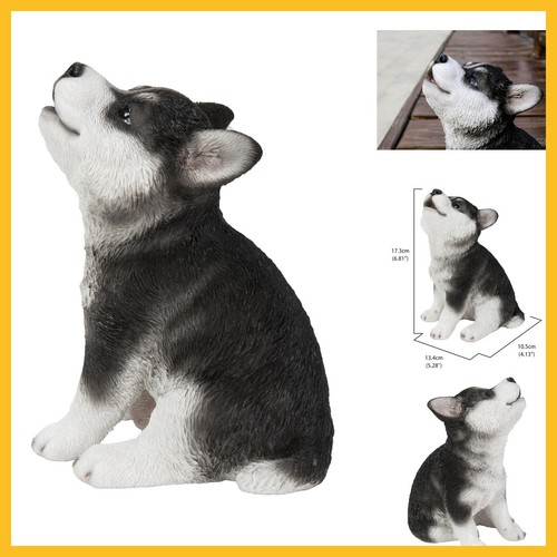 Siberian husky puppy - husky, howling