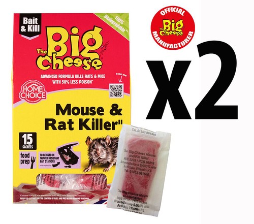 The big cheese mouse - cheese,