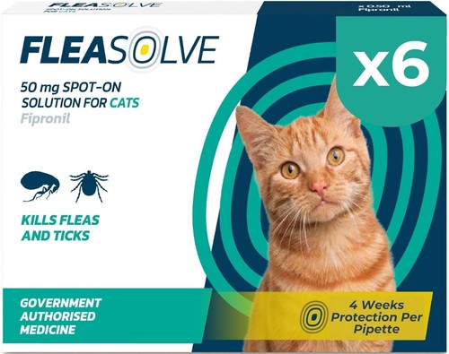 Cat flea treatment pipettes - cat,