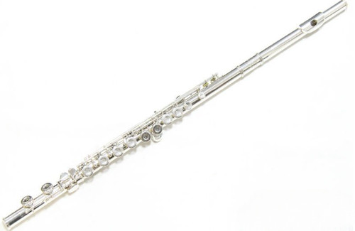 Haynes flute regular model - haynes,