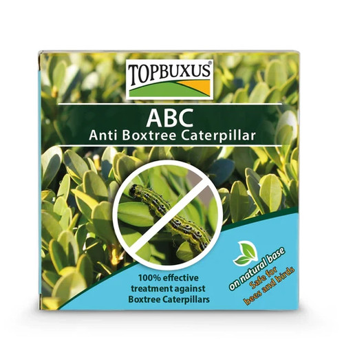 Topbuxus abc box - box, tree