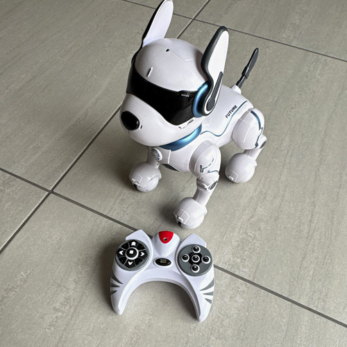 Remote control robot - robot, dog