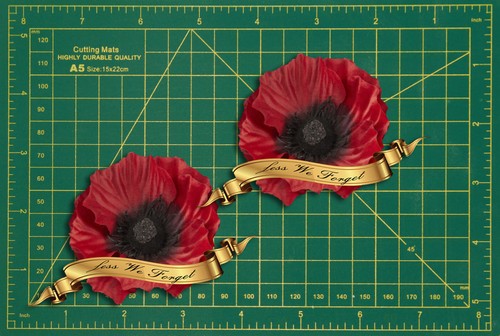 Lest forget red - we, day