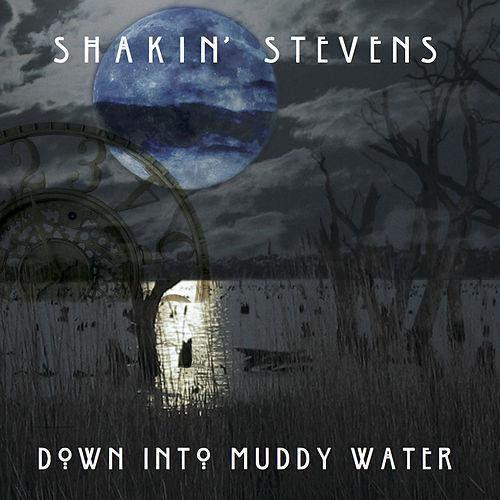 Shakin stevens down - stevens, into