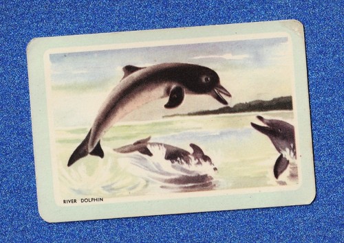 Vintage woolworths fish - woolworths,