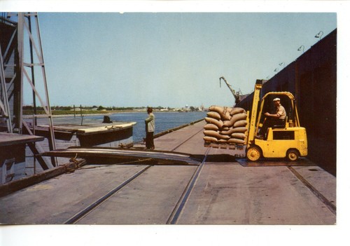 Unloading rice from - unloading,