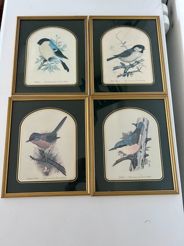 Vintage framed david andrews - david,
