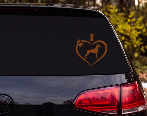 Doberman pinscher standing - doberman,