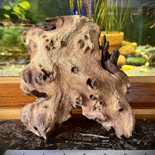 Large natural aquarium - large,