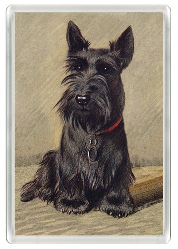 Scottish terrier dog fridge - dog,