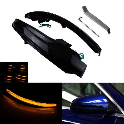 Pair dynamic led - door, wing