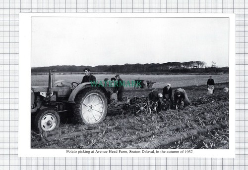 C5892 avenue head farm seaton - avenue,