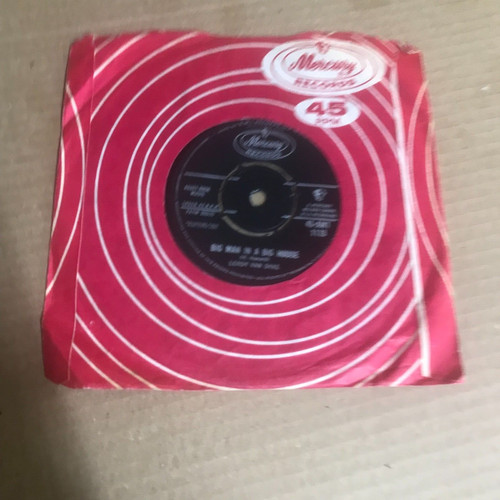 Leroy van dyke - man, in
