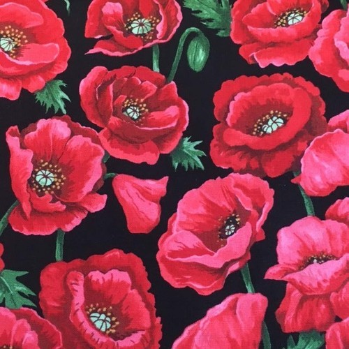 Poppy blooms black - blooms, on