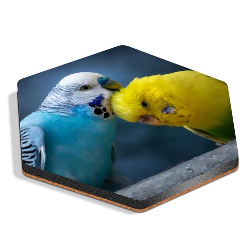 Hexagon mdf coaster - hexagon,