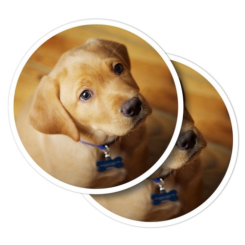 Vinyl stickers adorable - vinyl,