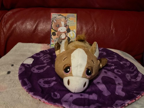 Cutetitos ponyitos chestnutito