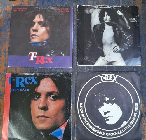 Set rex picture sleeves - picture,
