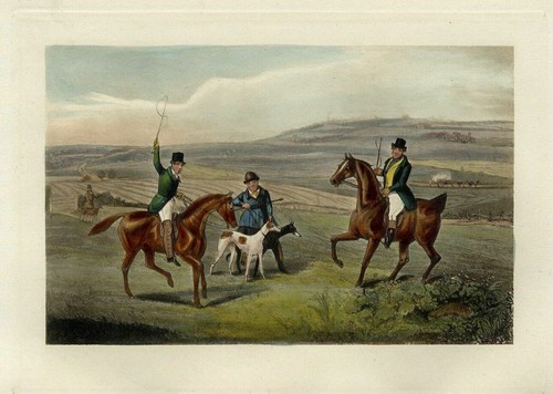 Greyhound dogs hunters horses - dogs,