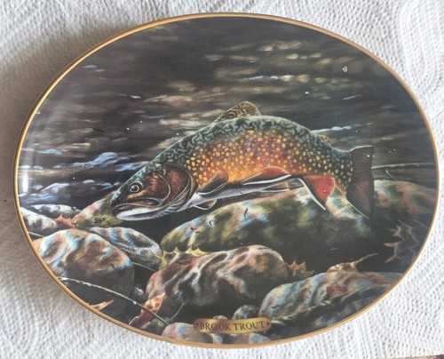 Brook trout ltd - ltd, ed