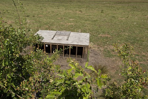 Photo 6x4 sheep shelter - 6x4,