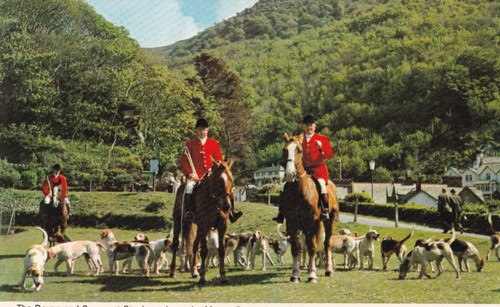 Devon and somerset staghounds - and,