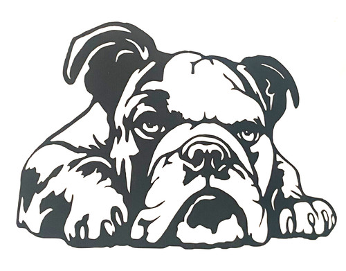 English bulldog dog - 1x,