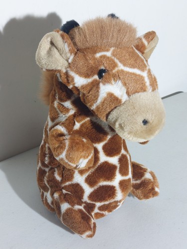 Born africa giraffe hand - born,