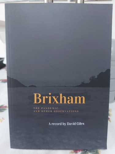 Brixham the pandemic and - brixham,