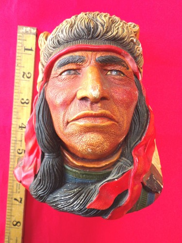 Crazy horse native - horse,