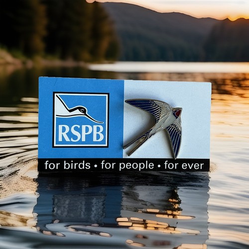 Rspb 2000 2001 early - , swallow