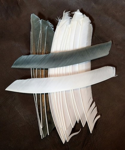Full length feather - 18,