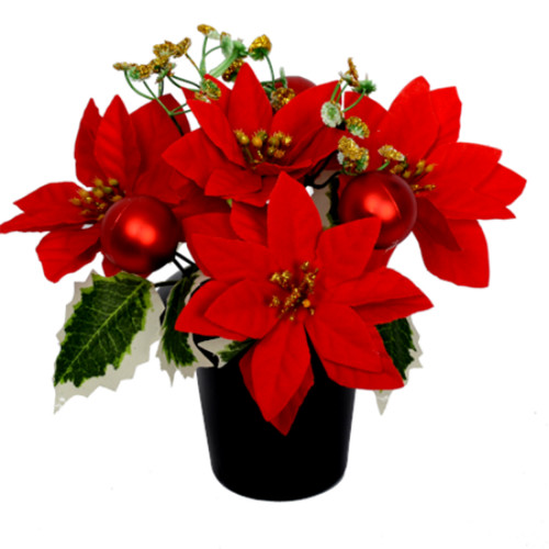 Christmas red poinsettia grave - red,