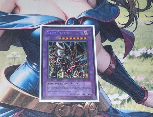 Dark paladin dmg 001 duel - paladin,