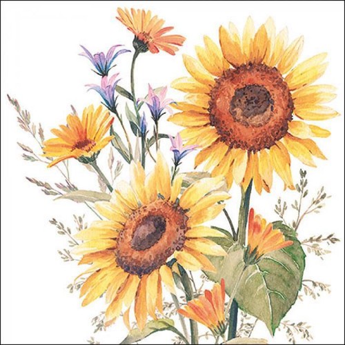 Single paper napkins for - 4x,