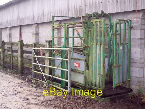 Photo 6x4 cattle crush - 6x4,