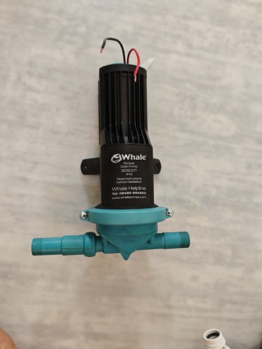 Whale 12v 24v shower drain - 12v/24v,