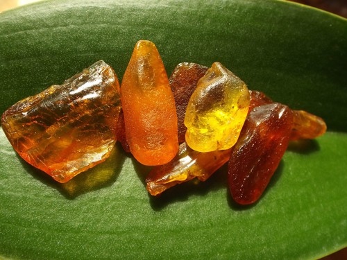 10g baltic genuine amber - 10g, raw