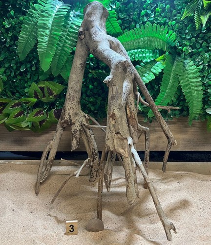 Talawa wood aquascaping - talawa,